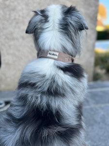 Bandana Tandem pour chien de couleur beige
